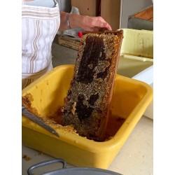 Miel du Lauragais 1 kg